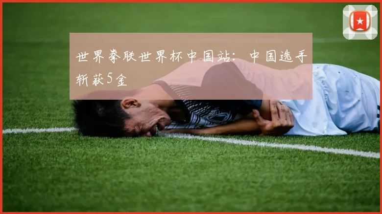 世界拳联世界杯中国站：中国选手斩获5金